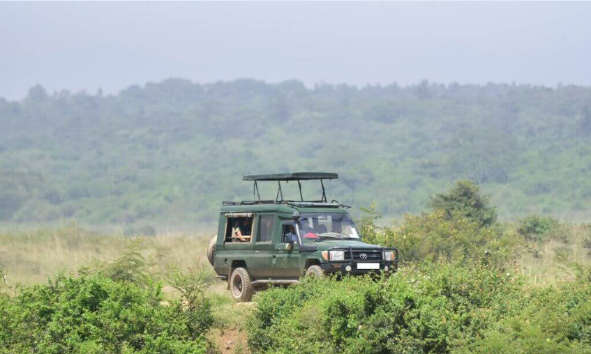 Tours & Travel
